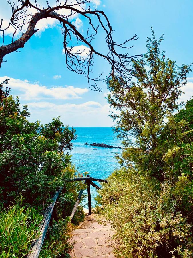 A Vacation On A Private Island Villa การ์โลฟอร์เต ภายนอก รูปภาพ